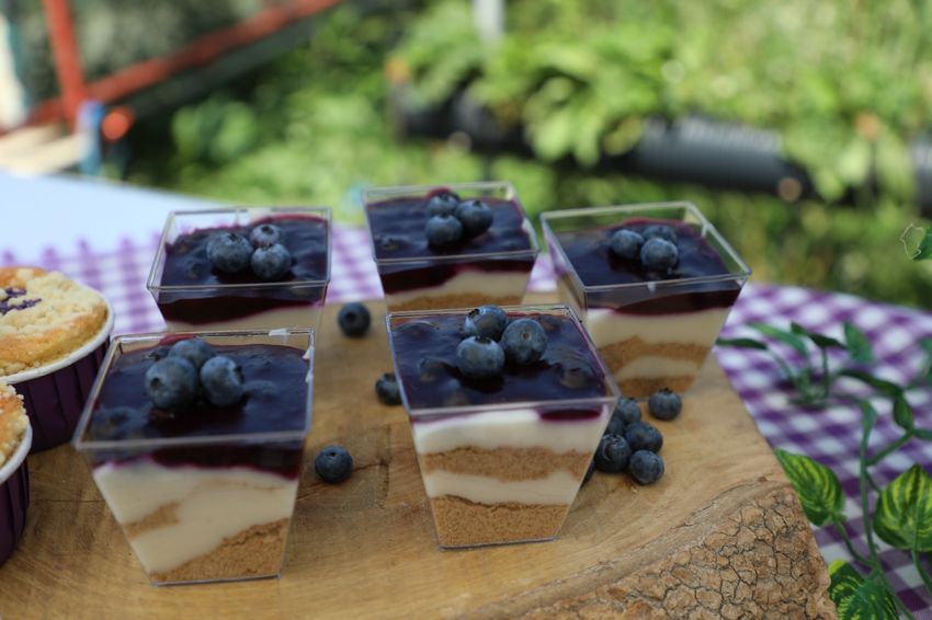 Yaban mersinli tatlılar